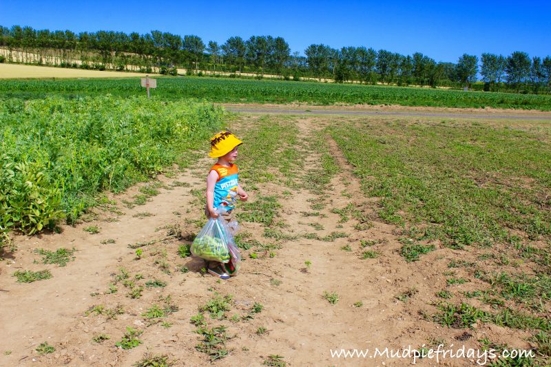 Rounstone Fruit & Veg Farm