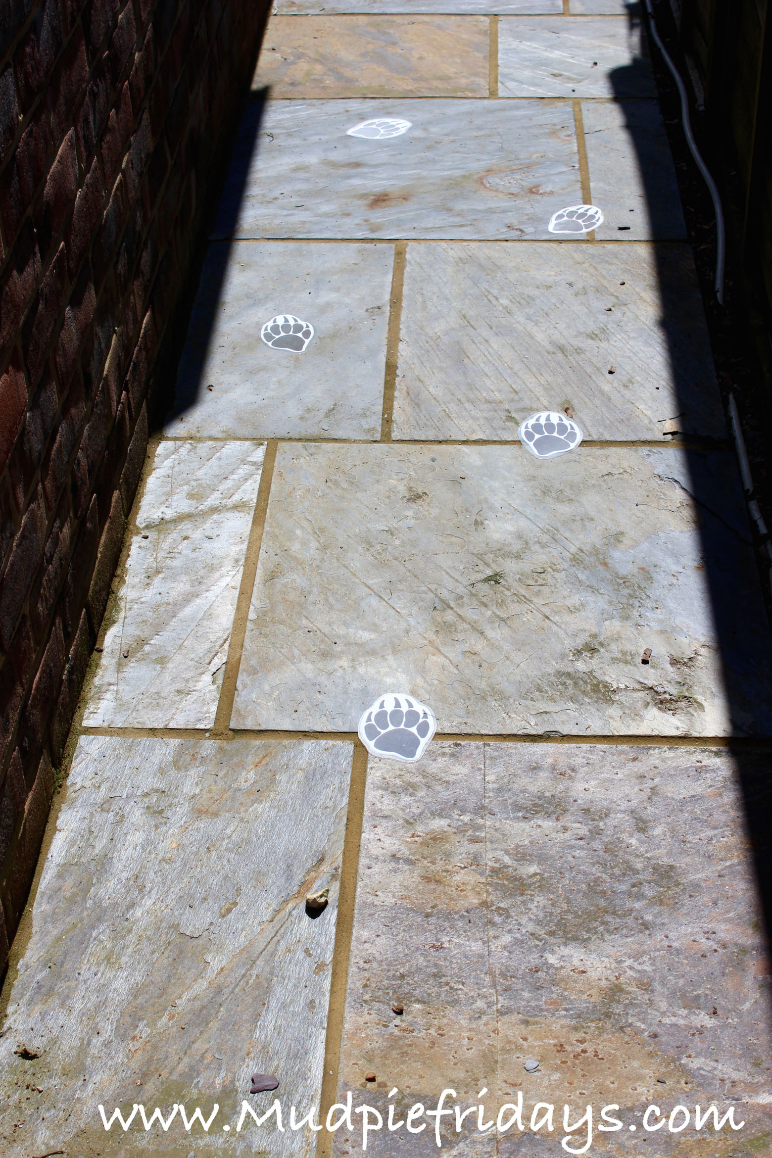 Bear Prints for going on a bear hunt