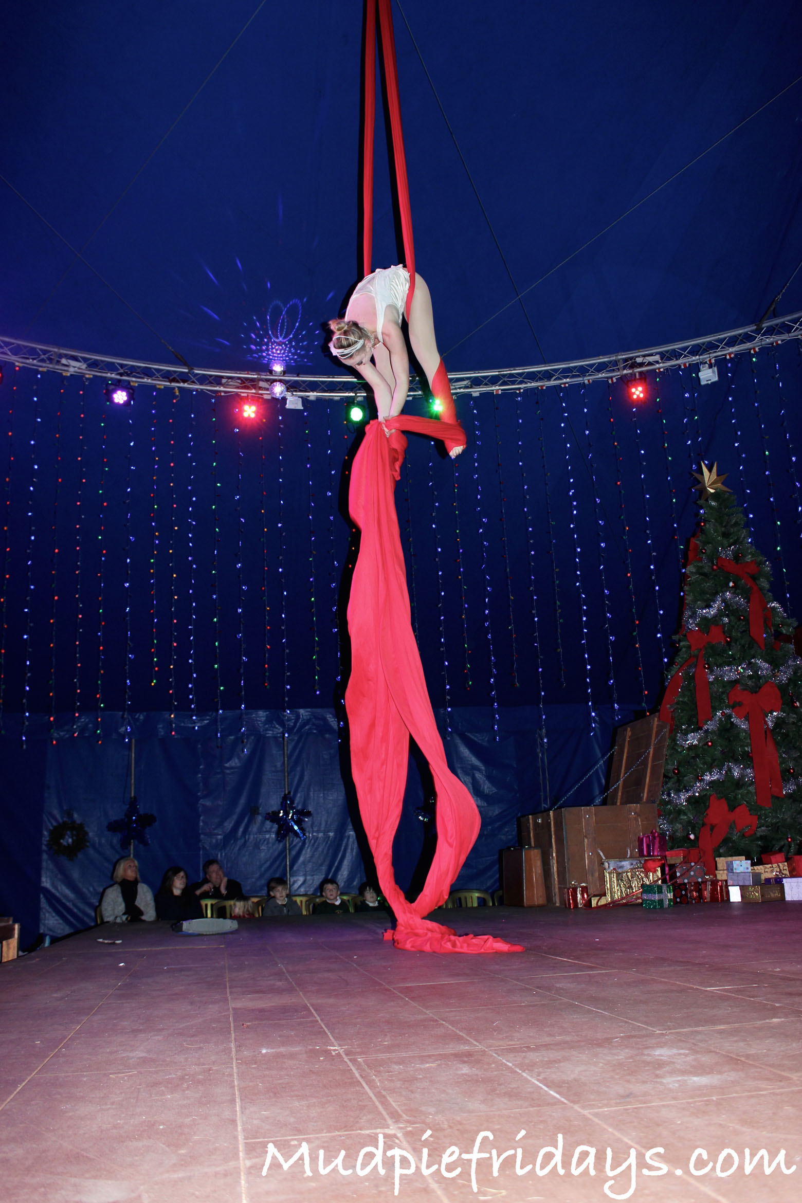 Squires Garden Centre Christmas Circus