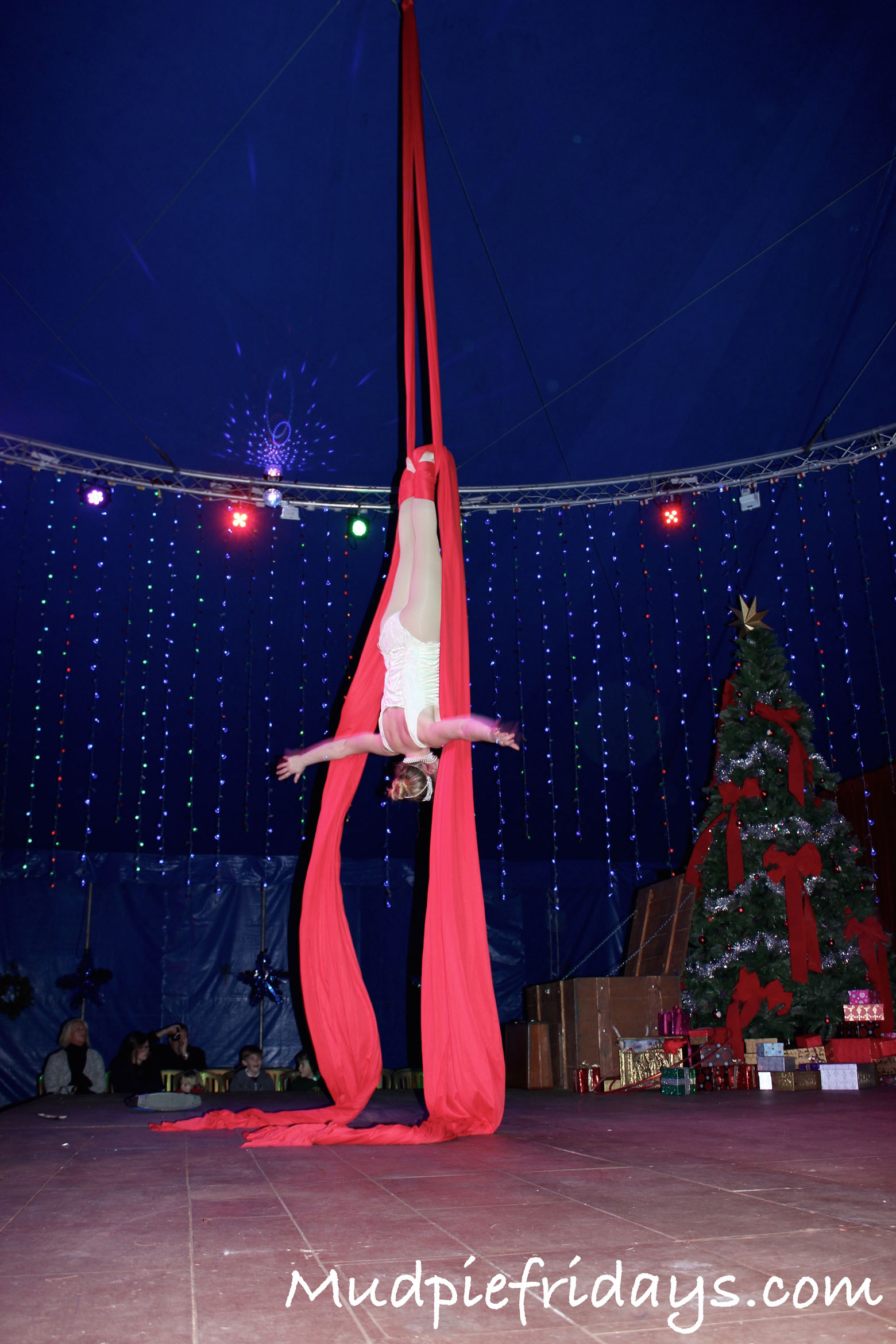 Squires Garden Centre Christmas Circus