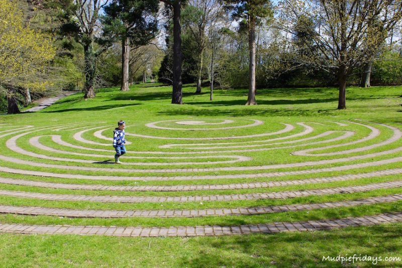 Maze at Wakehurst