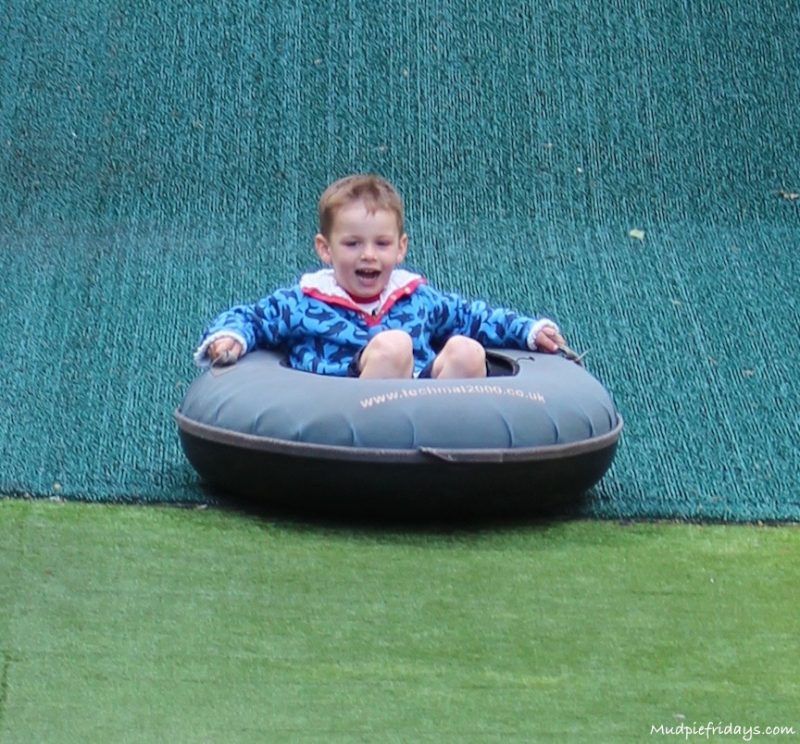 Charlie in a ring at Fishers Farm park going down the slide