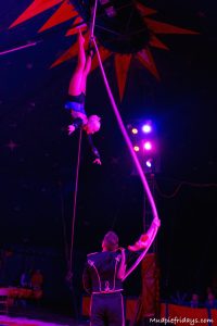 Squires Garden Centre Christmas Circus 2016