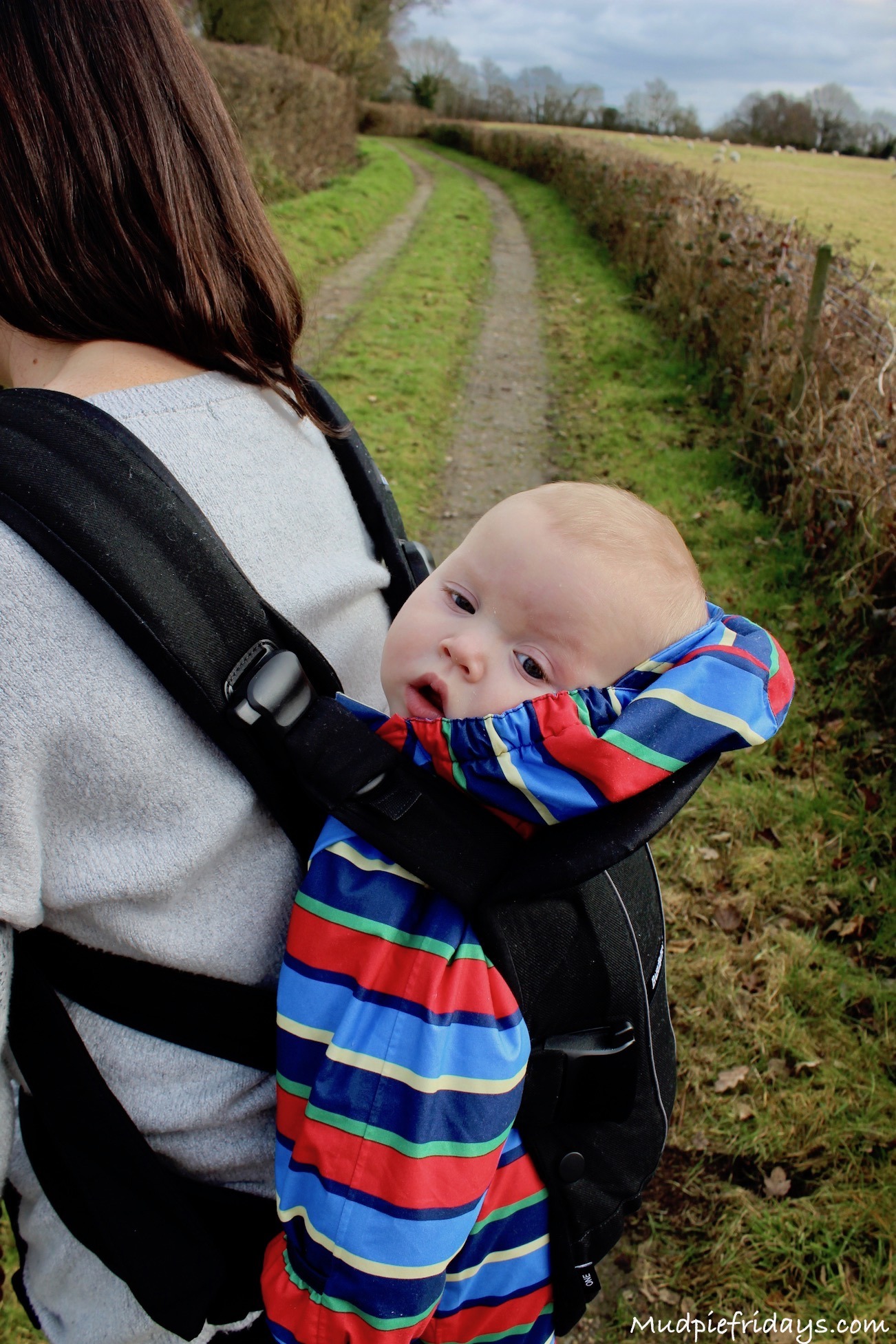 Baby Bjorn One Carrier