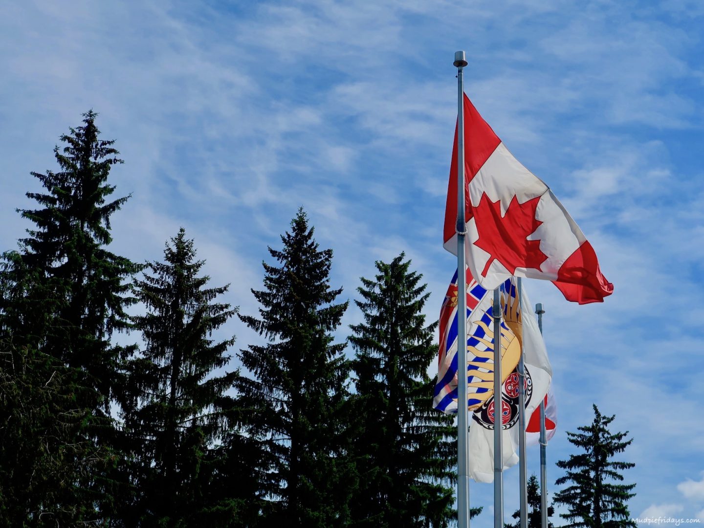 The Canadian flag with pine trees in the background against a blue sky