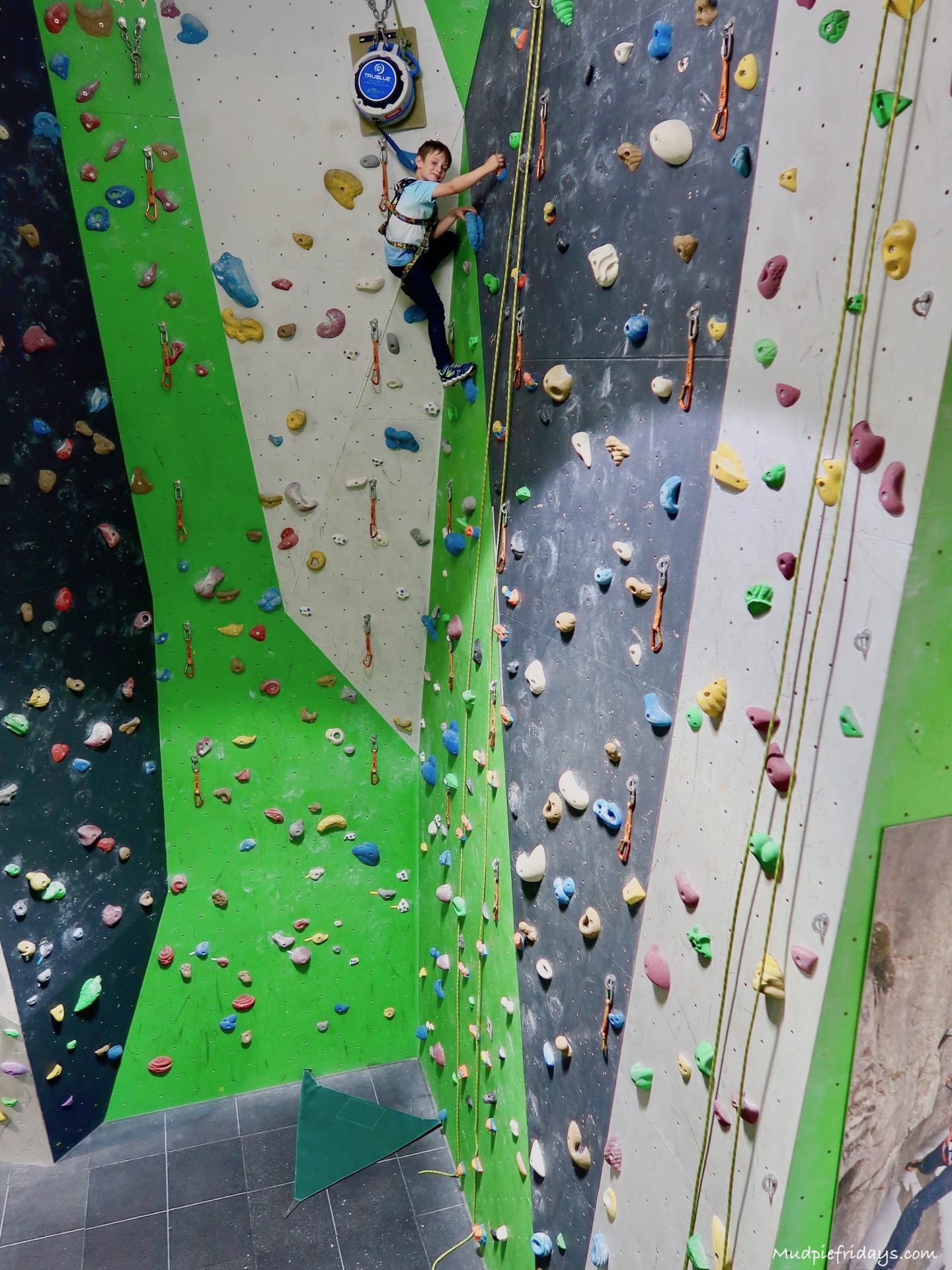 Charlie on the climbing wall