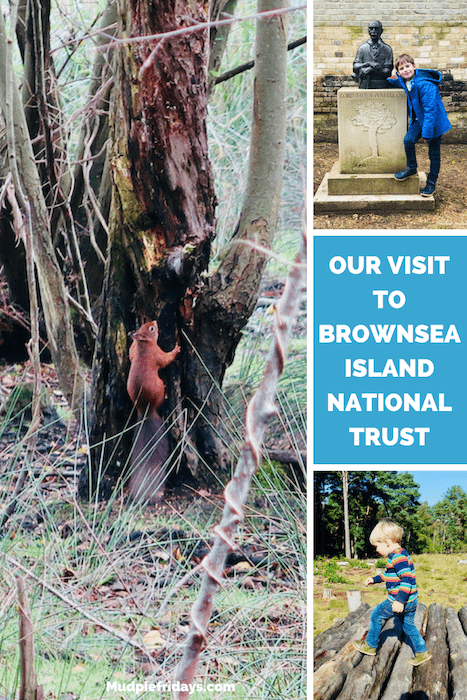 Our visit to Brownsea Island National Trust