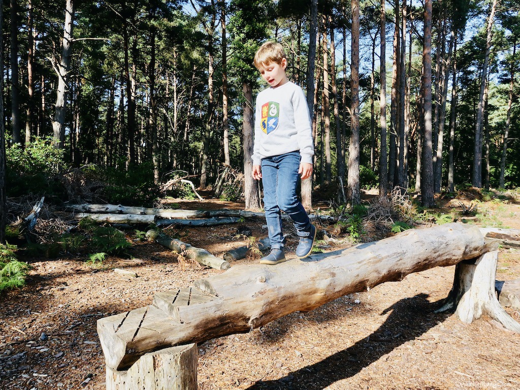 The natural play area at Brownsea Island