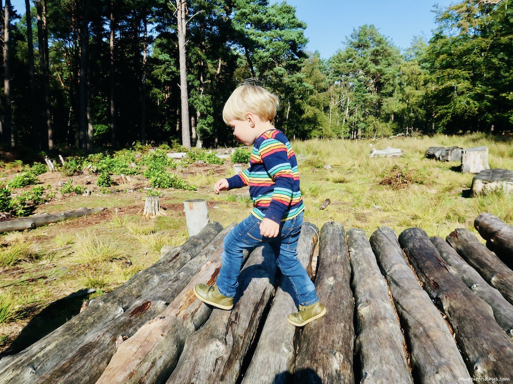 The natural play area at Brownsea Island