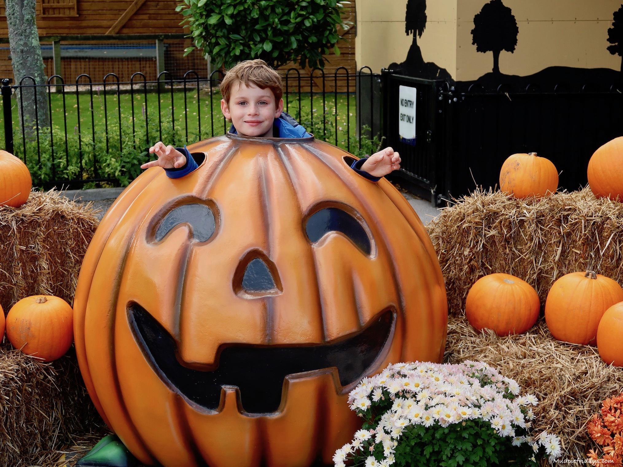 Charlie inside a pumpkin posing for a photo - Halloween theme park