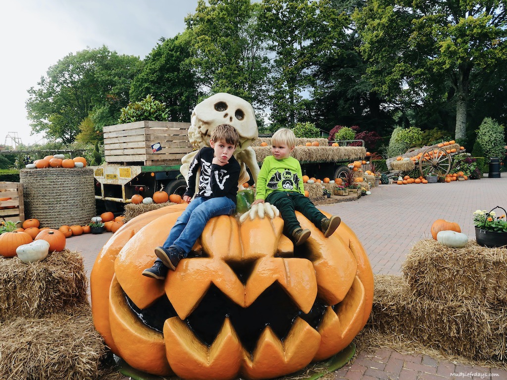 The boys sitting on the worlds biggest pumpkin at Paultons Park Halloween