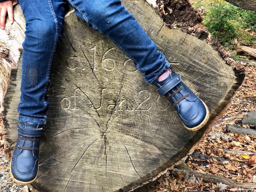 Bobux Timber Boots
