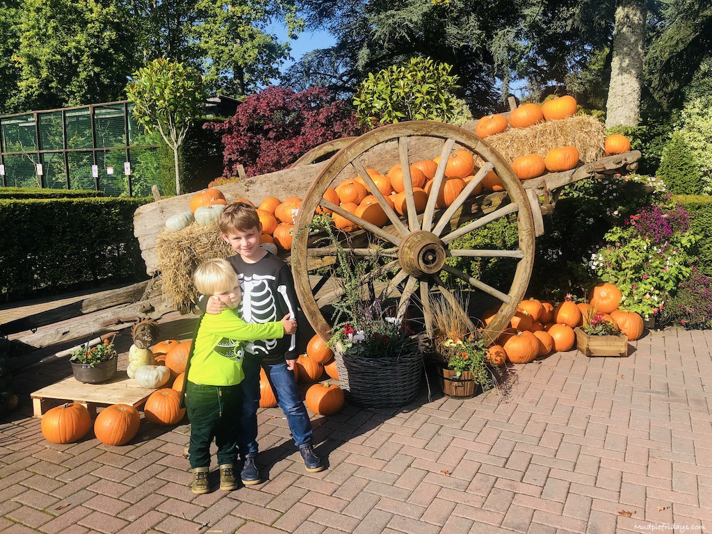 lots of opportunities to pose for photos at Paultons Park Halloween