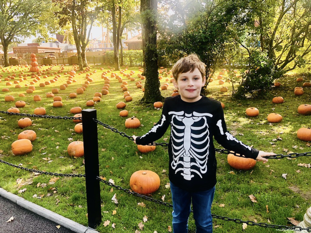 Charlie in front of pickles pumpkin patch
