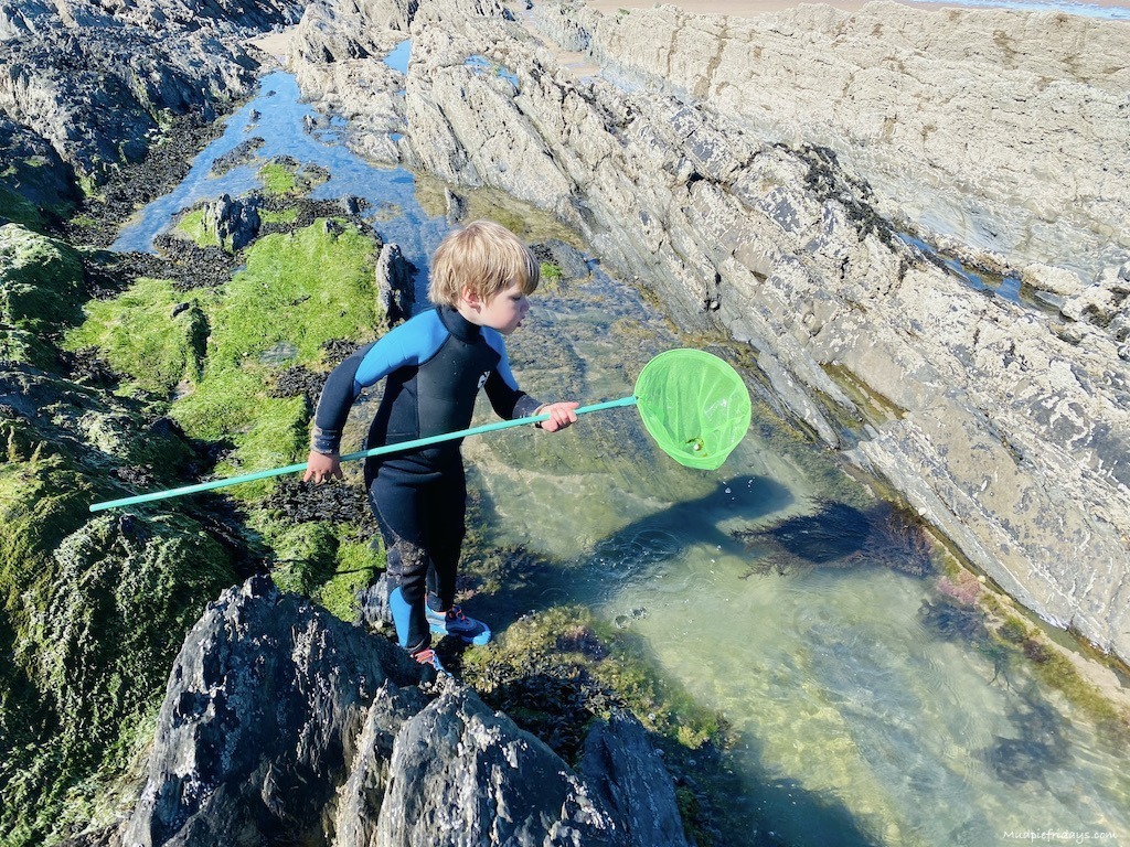 Harry trying rock pooling in North devon
