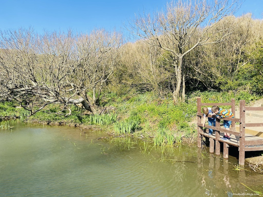 The boys looking at the nature pond during our baggy point national trust walk while staying in Croyde Bay devon