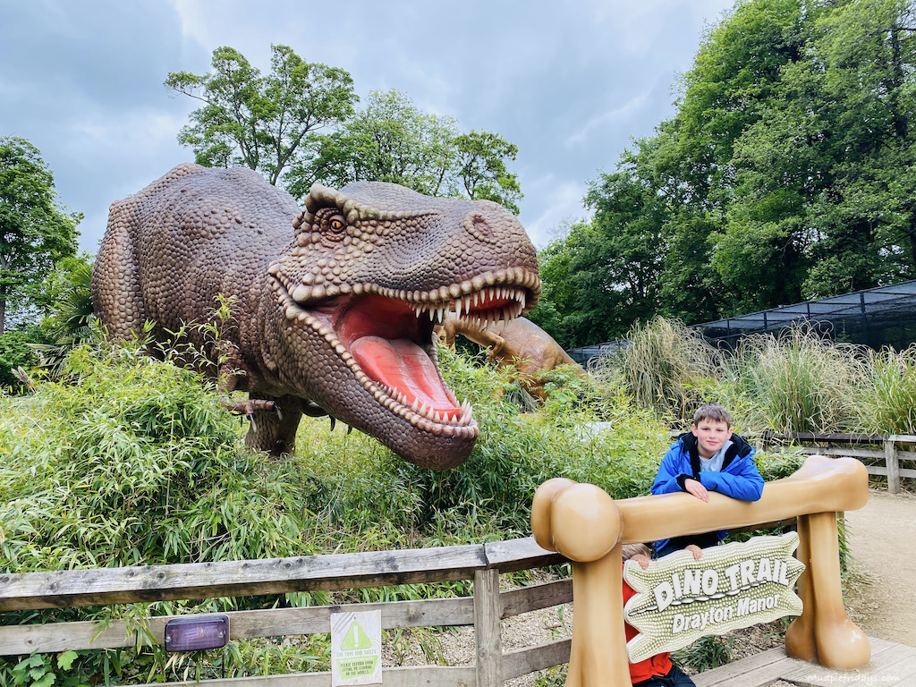 Drayton Manor Dinosaur Patk