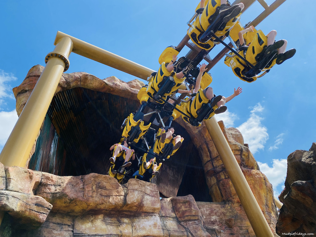 The flight of the Pterosaur Paultons Park