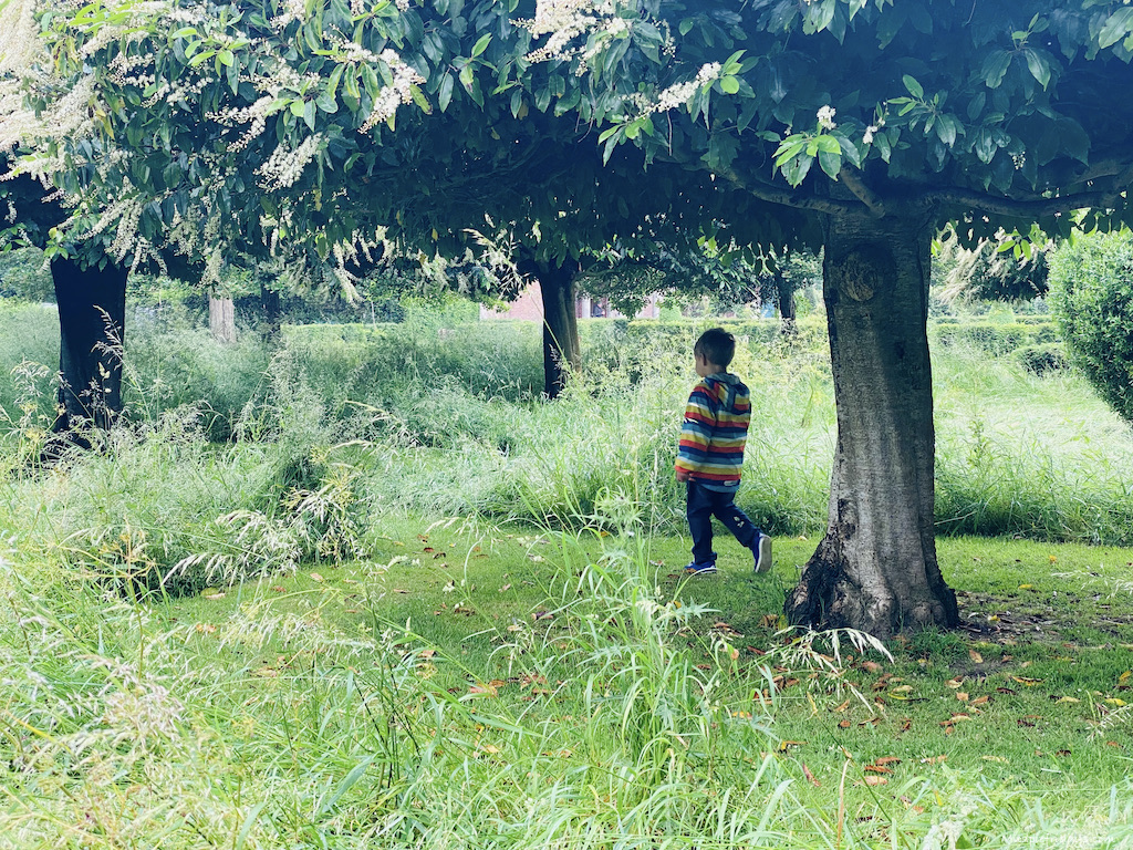 wandering amongst the trees at Westbury Court Gardens