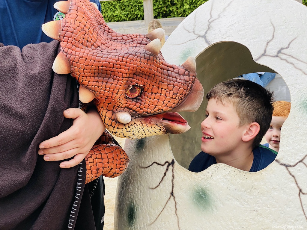 Dinosaur meet and greet at Camel Creek