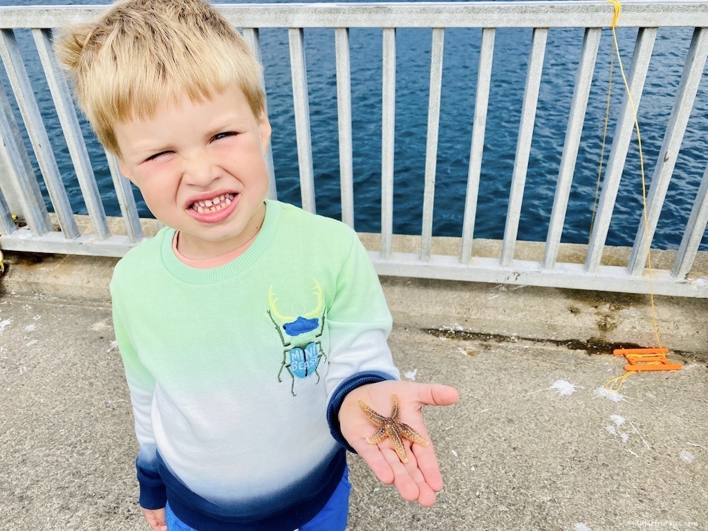 Catching Starfish in Uig Isle of Skye
