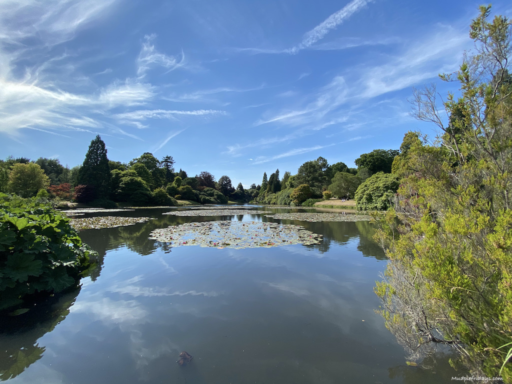 Lake at Sheffield Park National Trust