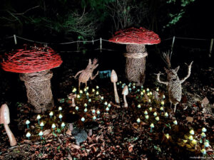 Woodland trail at IGNITE Polesdon Lacey