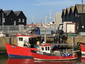 Whitstable harbour fishing boats