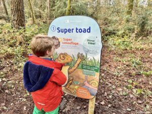 one of the stops on the Superworm trail at Alice Holt Forest
