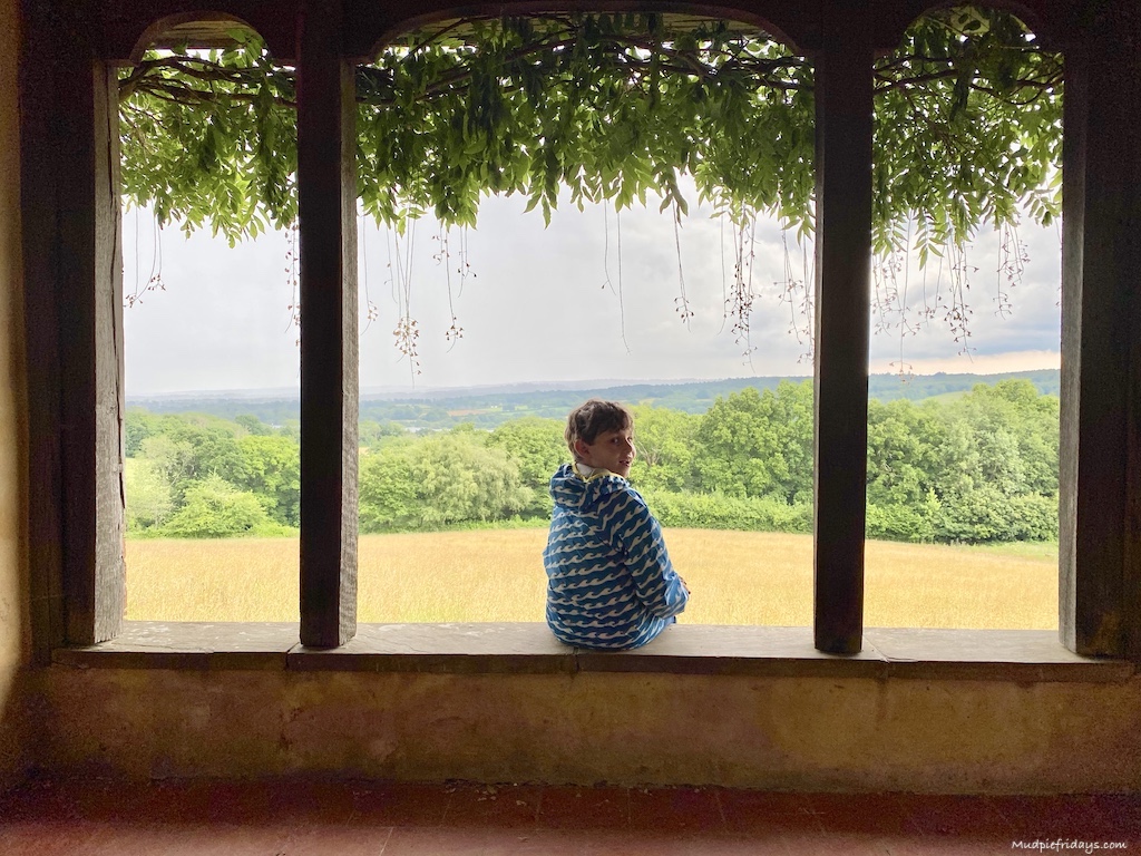 Charlie sitting in a window looking out across the countryside