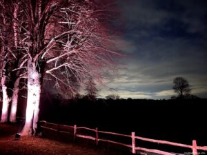 sun set at Nymans National Trust light trail