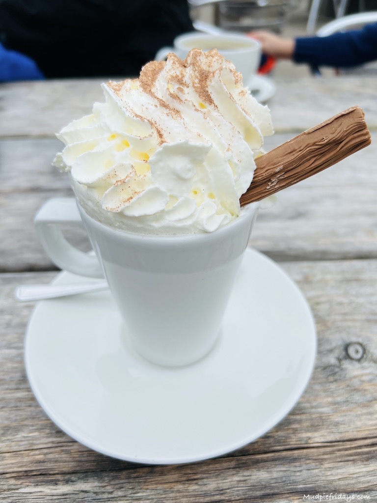 Hot chocolate with cream and a flake