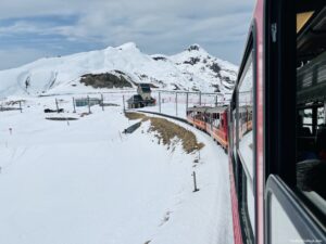 Going back down the view from the cogtrain travelling Junfraujoch to Interlaken