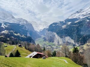 views from the cog train n the way up to Grindelwald First