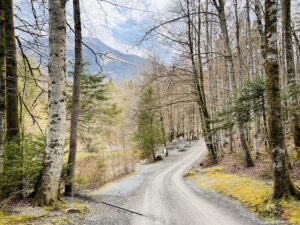 Walking to another set of buildings at the Switzerland open air museum through the woods on dirt tracks