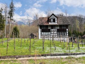 on of the historic buildings at the Swiss open air museum