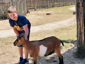 Charlie feeding a goat at Bellevie Farm - Ferme Bellevie