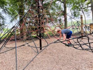 Outside play area in the Forest of Legends