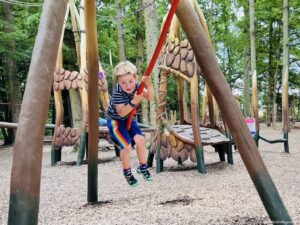Outside play area in the Forest of Legends