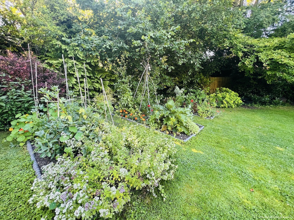 The kitchen garden for Seasons restaurant