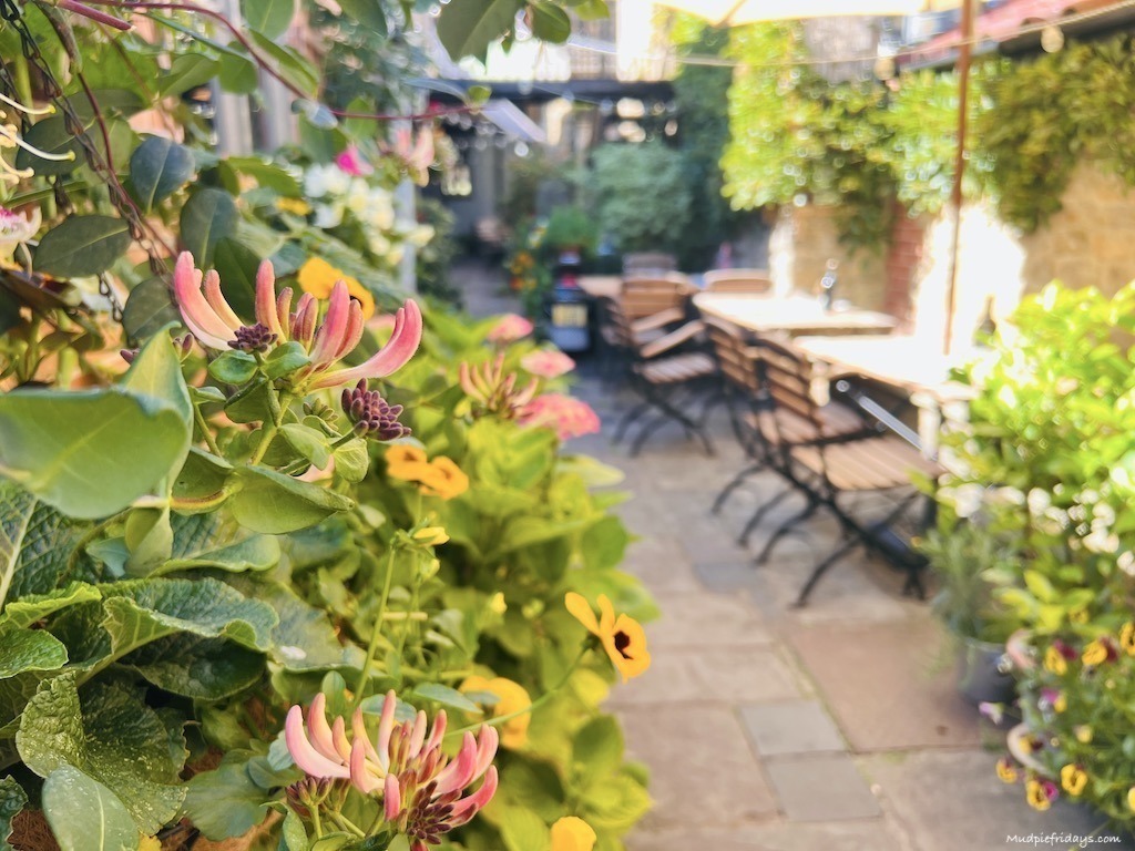 The garden at the back of the Plume Sherborne