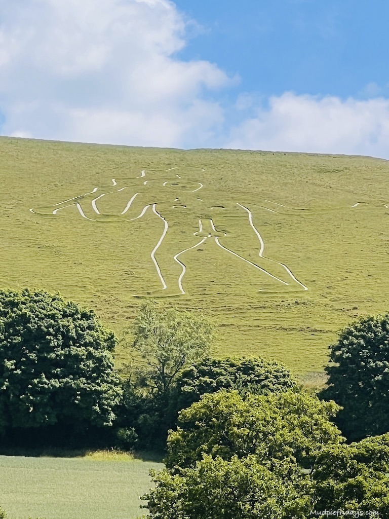 Cerne Giant - Part of the National Trust the ancient naked figure is sculpted into the chalk hillside above Cerne Abbas.