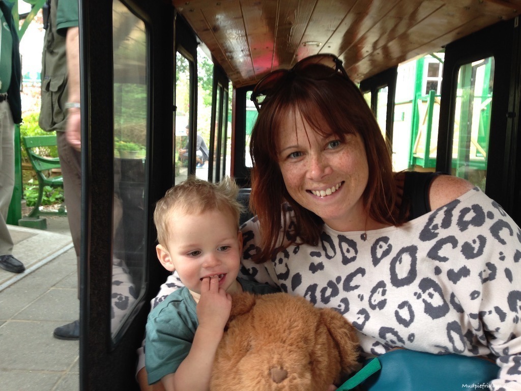 South Downs Light Railway teddy bears picnic things to do in west sussex with kids