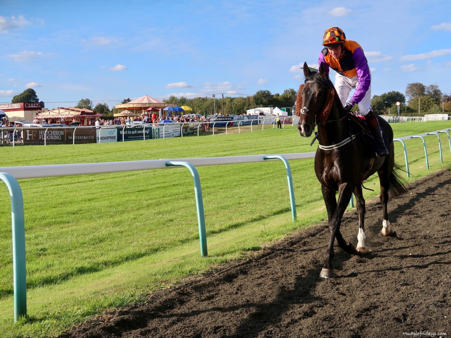 Fontwell Race Course Family Day