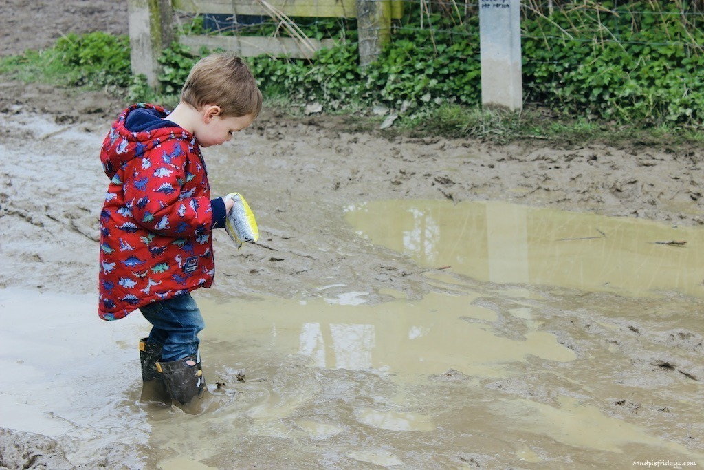 The mud at Saddlecombe farm during lambing season
