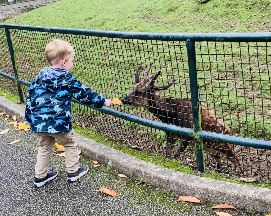 Newquay Zoo