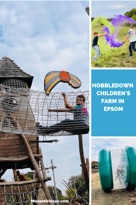 Hobbledown Children's Farm in Epsom