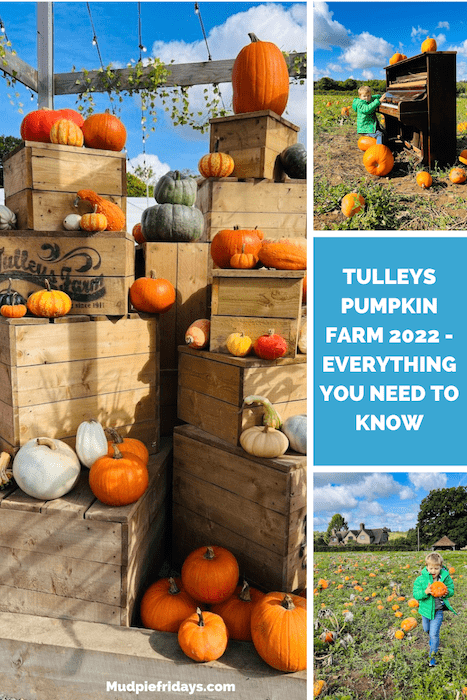 Tulleys Pumpkin Farm 2022 - Everything you need to know