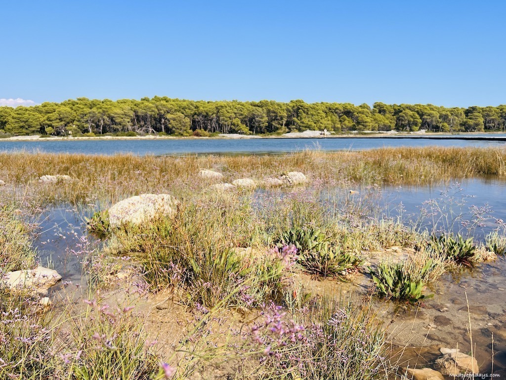 shrub land at Nicolas beach - sibenik strand