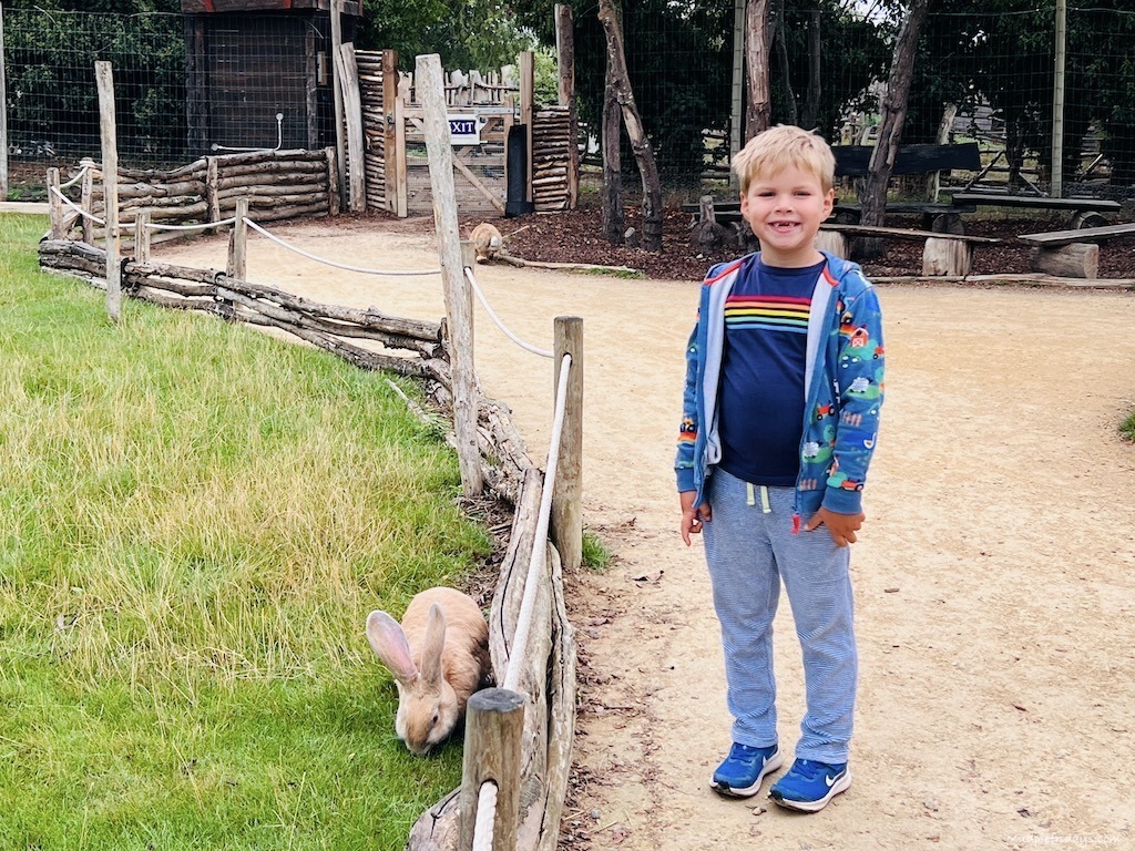 Harry with a bunny at Hobbledown review - surrey may half term